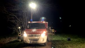 Mehr über den Artikel erfahren Gemeldeter Feuerschein im Wald