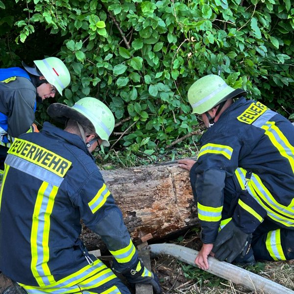 Übungsabend mit der Abteilung Oberbruch Thema: Forstunfall