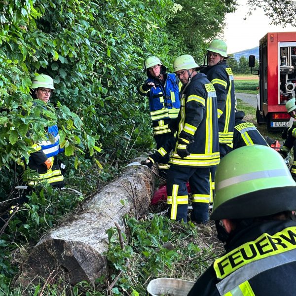 Übungsabend mit der Abteilung Oberbruch Thema: Forstunfall