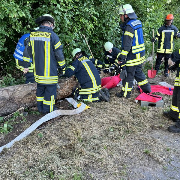 Übungsabend mit der Abteilung Oberbruch Thema: Forstunfall
