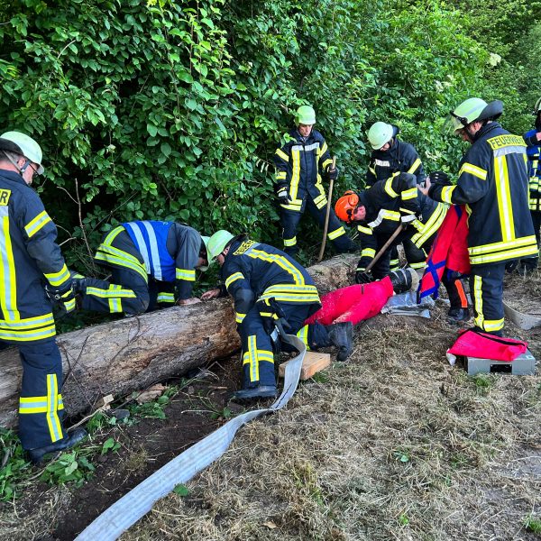 Übungsabend mit der Abteilung Oberbruch Thema: Forstunfall