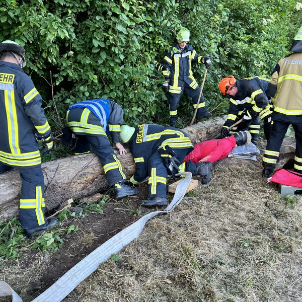 Übungsabend mit der Abteilung Oberbruch Thema: Forstunfall